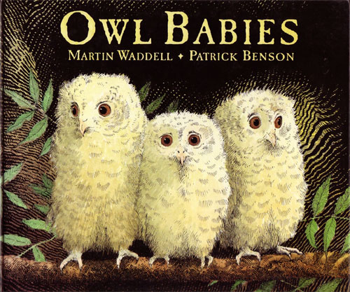 Owl Babies Cover