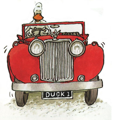 Duck Driving